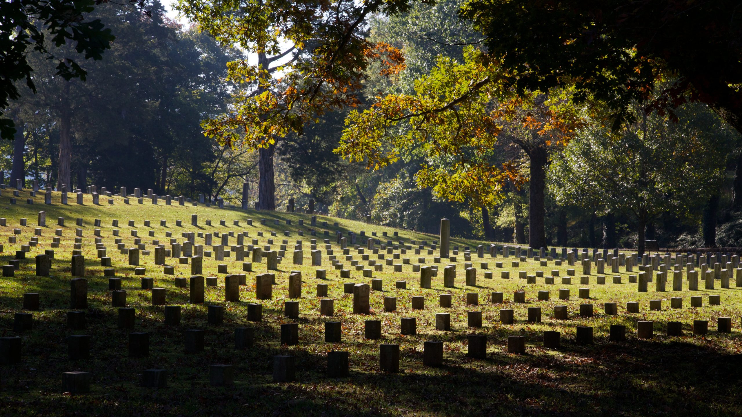 An image of Shiloh National Cemetery with rows of small headstones marking the graves of unknown soldiers, reminiscent of the words of Lincoln at Gettysburg.